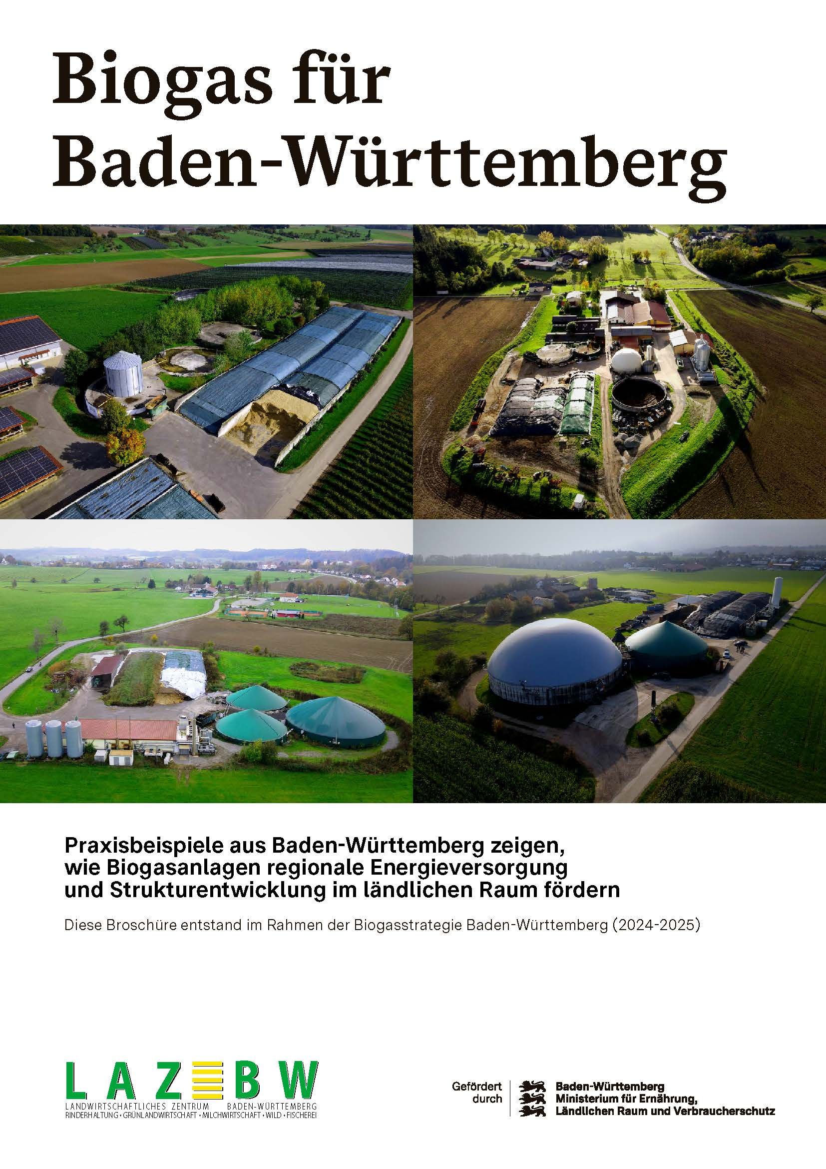 Titelbild der Brosch&uuml;re "Biogas f&uuml;r Baden-W&uuml;rttemberg"