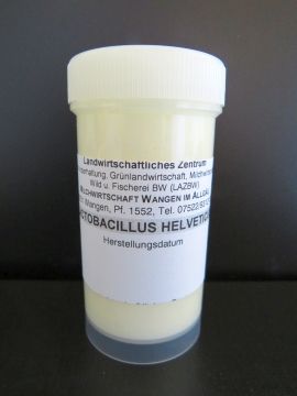Foto Lactobacillus helveticus