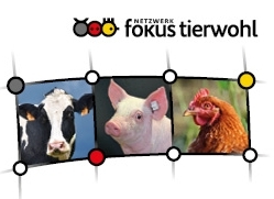 Netzwerk Fokus Tierwohl